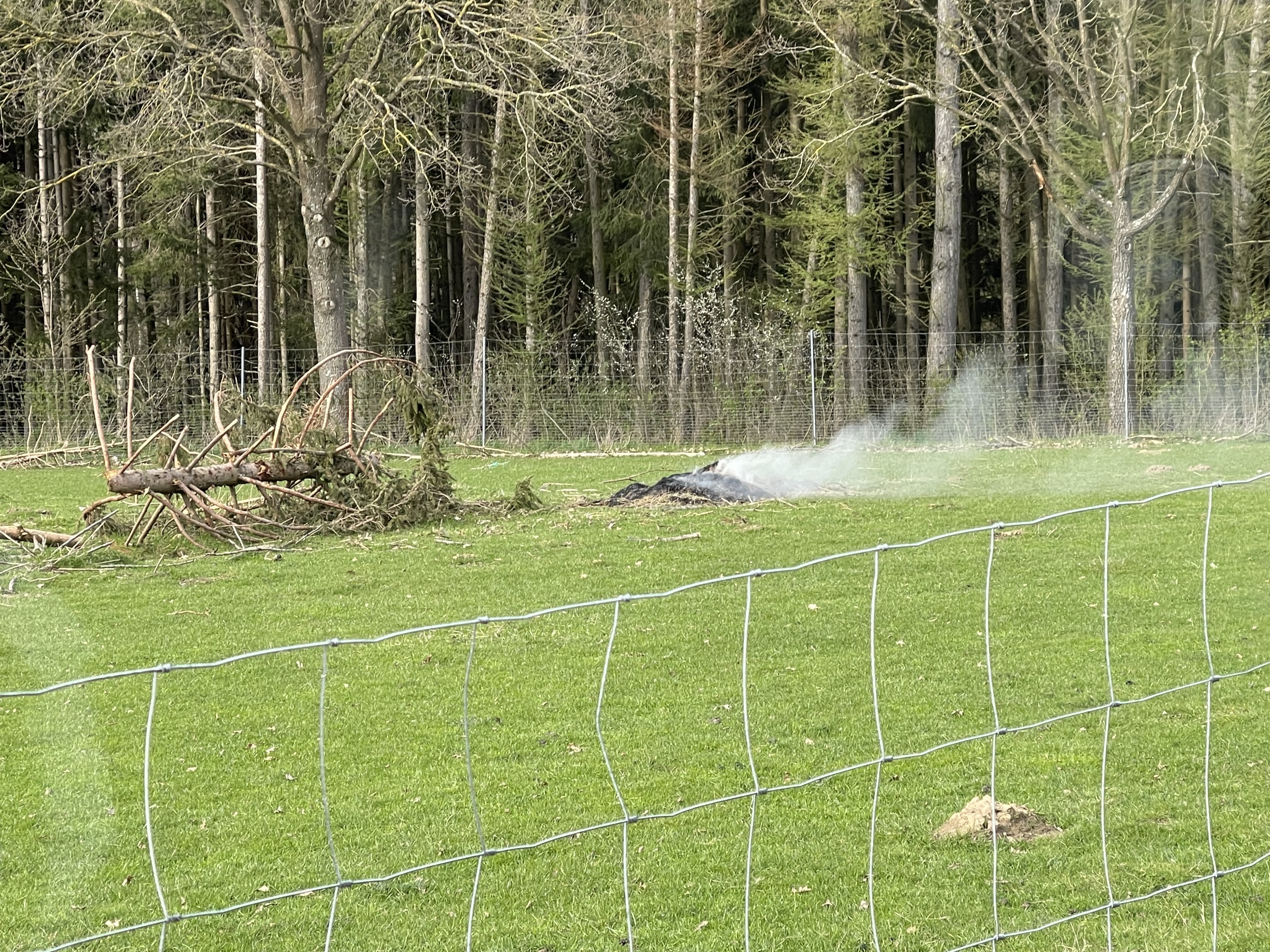 Brandeinsatz vom 26.04.2023