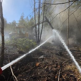 20260928 B2 WaldKlein5001000 01