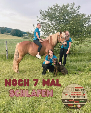Noch07 8ce52